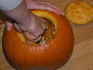 pumpkin pulp